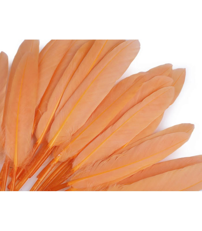 BAG 20 DUCK FEATHERS