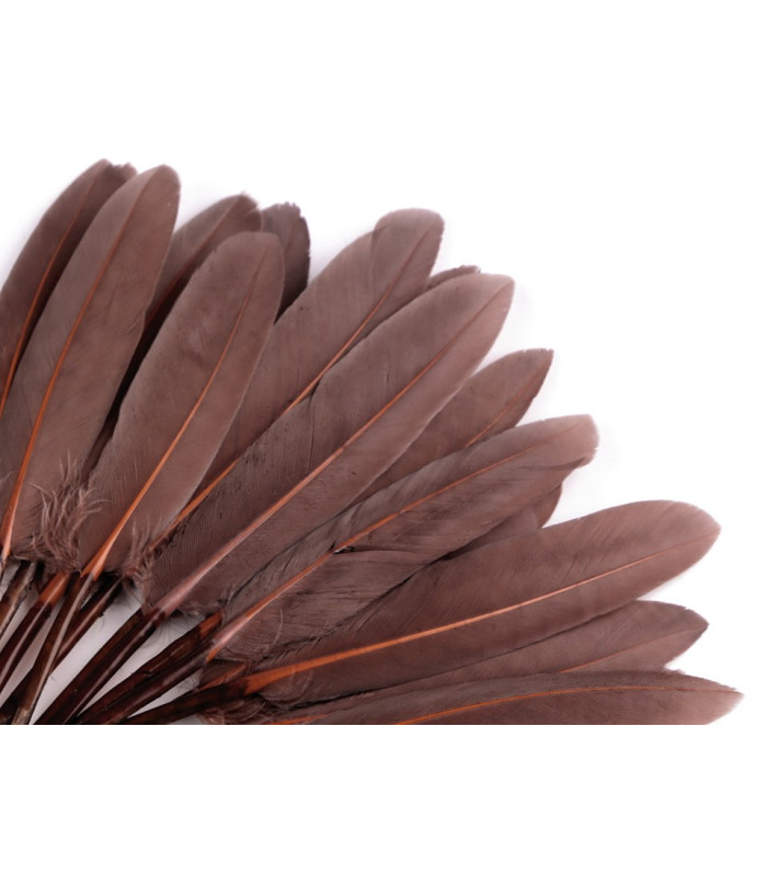BOLSA 20 PLUMAS DE PATO 9-14 CMS.