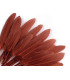 BOLSA 20 PLUMAS DE PATO 9-14 CMS.