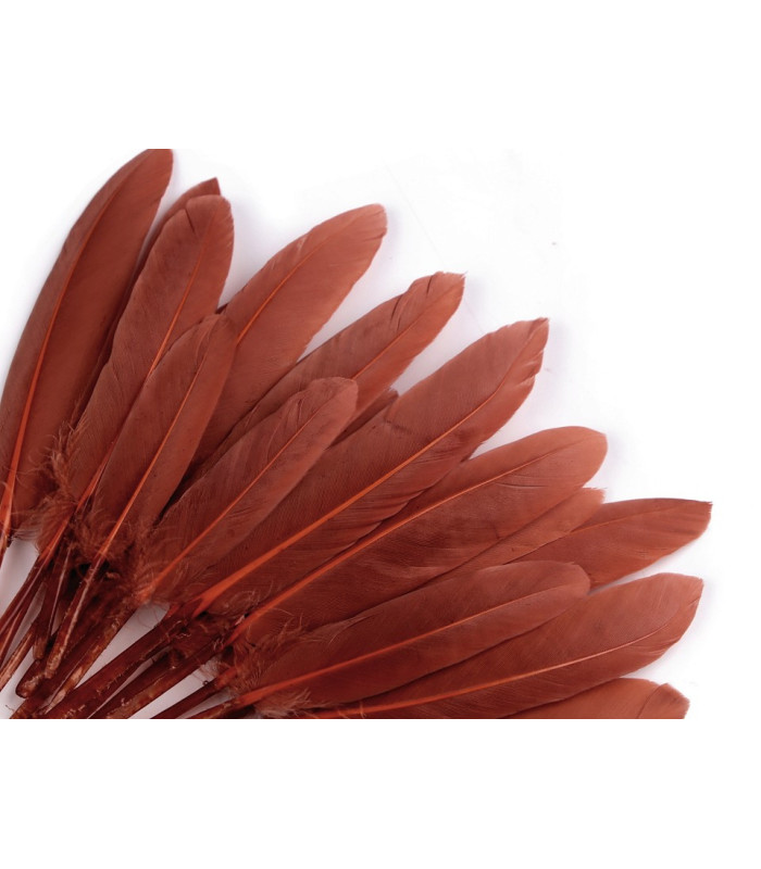 BOLSA 20 PLUMAS DE PATO 9-14 CMS.
