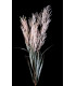 Willow branch "SOHO"