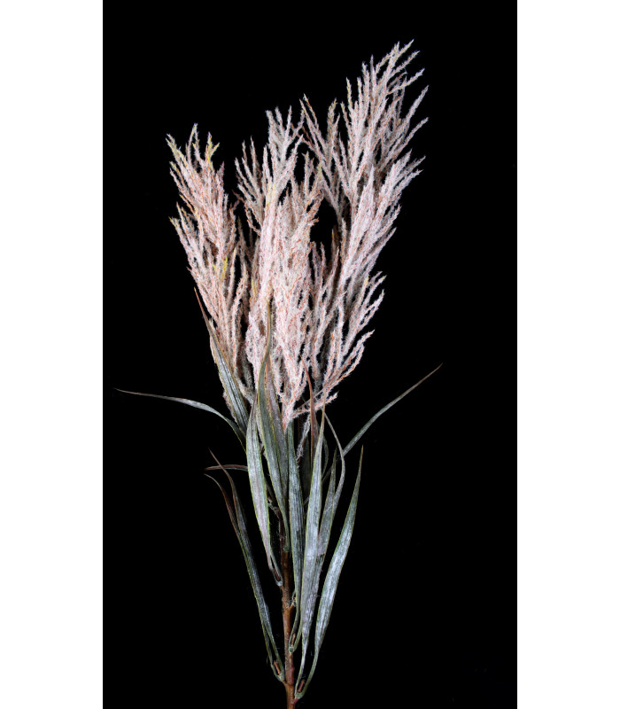 Willow branch "SOHO"