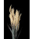 Willow branch "SOHO"