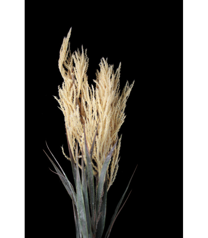 Willow branch "SOHO"