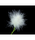 MARABOO FEATHER FLOWER