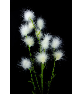 Flor De Plumas De Marabú - flores - flores - flores - flores - flores - flores - flores - flores - plástico - plástico - plástico - plástico - plástic