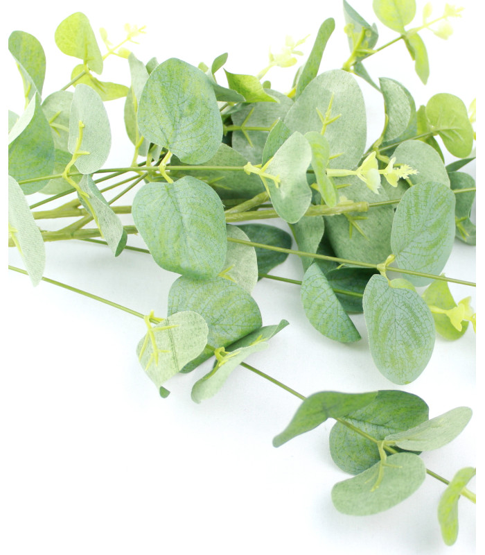 EUCALYPTUS BRANCH "GREEN BOX"