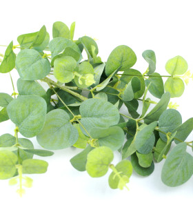 Rama De Eucalipto "melbourne" Verde - tela