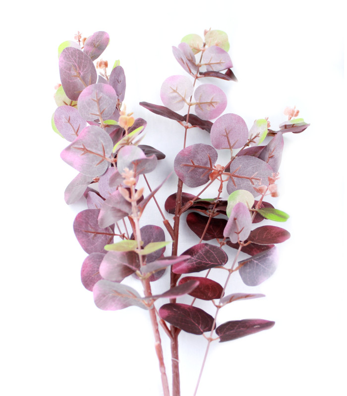 EUCALYPTUS BRANCH "GREEN BOX"
