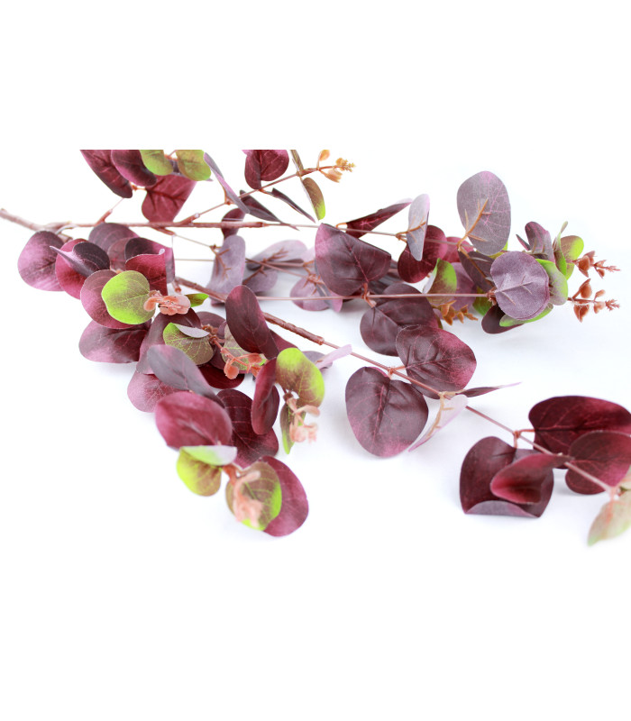 EUCALYPTUS BRANCH "GREEN BOX"