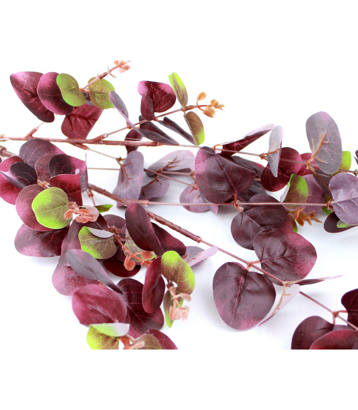 EUCALYPTUS BRANCH "MELBOURNE"