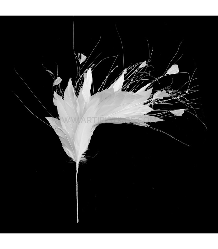 MONTAJE DE PLUMAS GALLO/AVESTRUZ QUEMADO/OCA RECORTADA