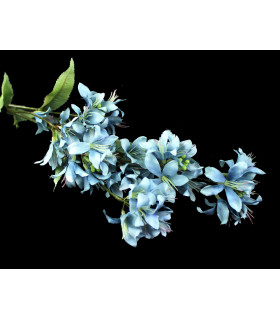 Vara De Jazmin "barbados" Azul - tela
