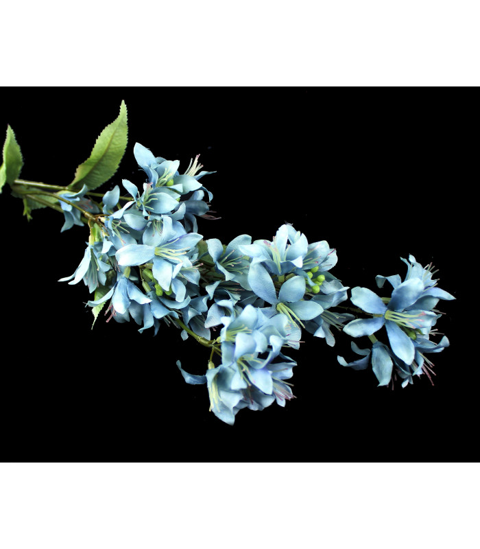 Flor de Jasmim "BARBADOS"