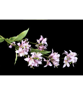 Vara De Jazmin "barbados" Violeta - tela