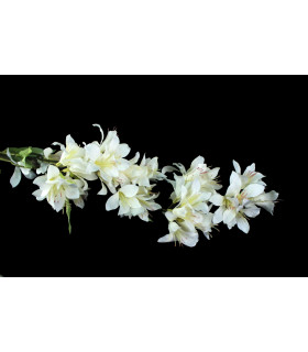 Vara De Jazmin "barbados" Blanco - tela