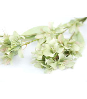 Ramo de eucalipto "MELBOURNE"