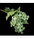 Lilac's bouquet "SYRINGA"