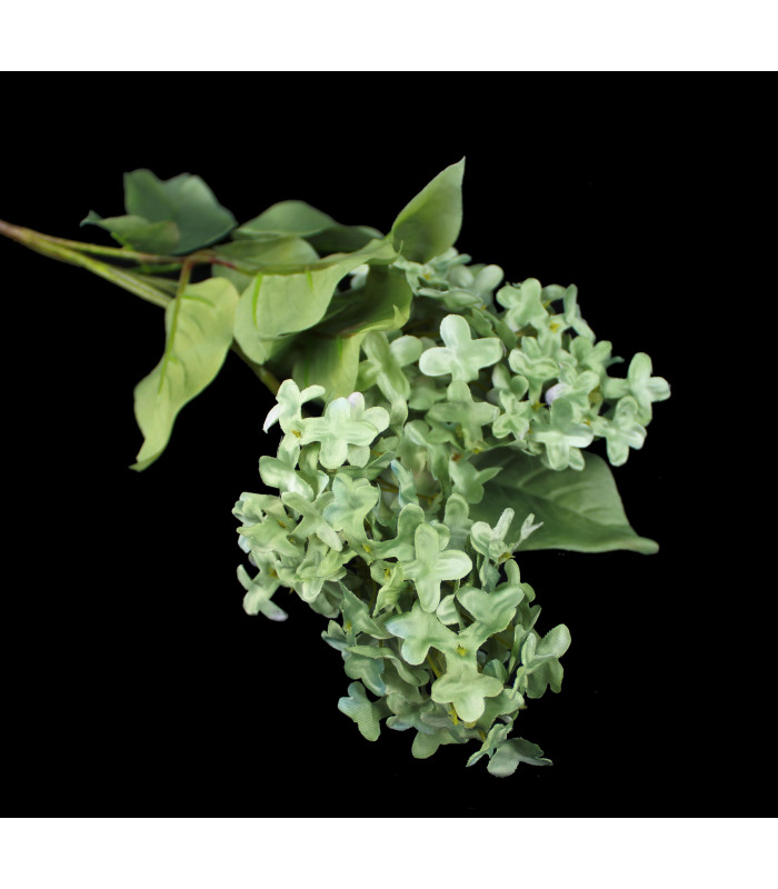 Lilac's bouquet "SYRINGA"