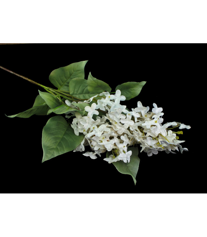 Lilac's bouquet "SYRINGA"