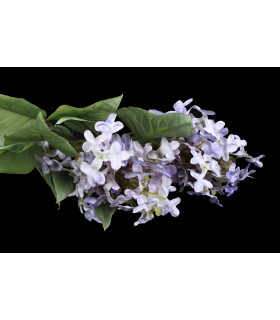 Rama De Lilar "syringa" Lila - tela