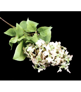 Rama De Lilar "syringa" Rosa/verde - tela
