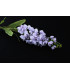 Buquê de flores "Delphinium"
