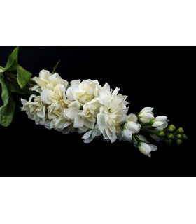 Bouquet De Flores" Delphinium" Blanco - tela