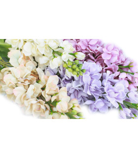 Bouquet De Flores" Delphinium" - tela - tela - tela - tela - tela - tela - tela - tela - tocados - tocados - tocados - tocados - tocados - tocados - t