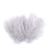 BOLSA PLUMAS DE AVESTRUZ 12 - 17 CMS.