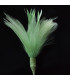 GOOSE/ROOSTER FEATHERS POM