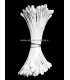 OAR STAMEN 2 SIDES