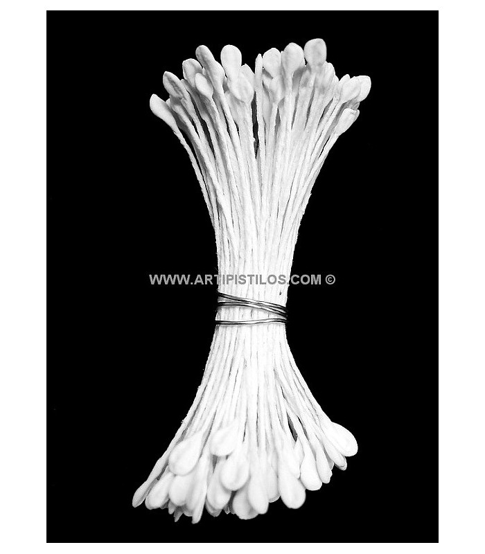 OAR STAMEN 2 SIDES