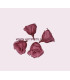 PRESERVED PETIT ROSE 2 X 2 CMS.