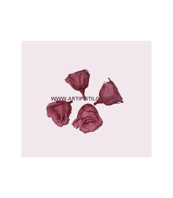 PRESERVED PETIT ROSE 2 X 2 CMS.