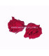 PRESERVED ROSE 4 CMS.