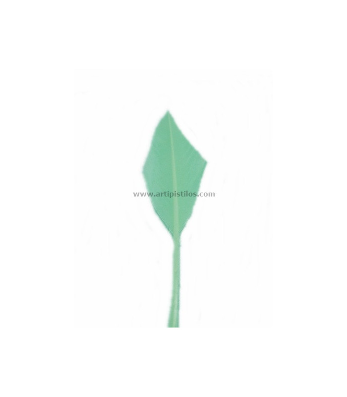 ARROW QUILL 30 CMS.