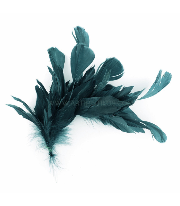 FEATHER MOUNT OF DUCK AND ROOSTER
