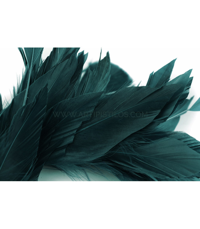 FEATHER MOUNT OF DUCK AND ROOSTER