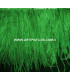 FRINGE OSTRICH FEATHERS 10 CMS.
