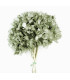 HORTENSIA PRESERVADA