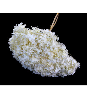100% Natural Preserved Hydrangea Offwhite
