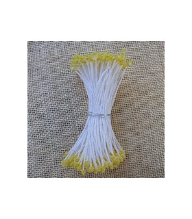 GRANULATED STAMEN WHITE FILAMENT / YELLOW ANTHERS