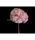 HORTENSIA PRESERVED FLOWER. BOUQUET