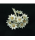 FLOR DE PORCELANA FRÍA 1,2 CM