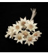FLOR DE PORCELANA FRÍA 1,2 CM