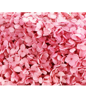 100% Natural Preserved Hydrangea Rose