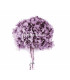NATURAL PRESERVED HYDRANGEA