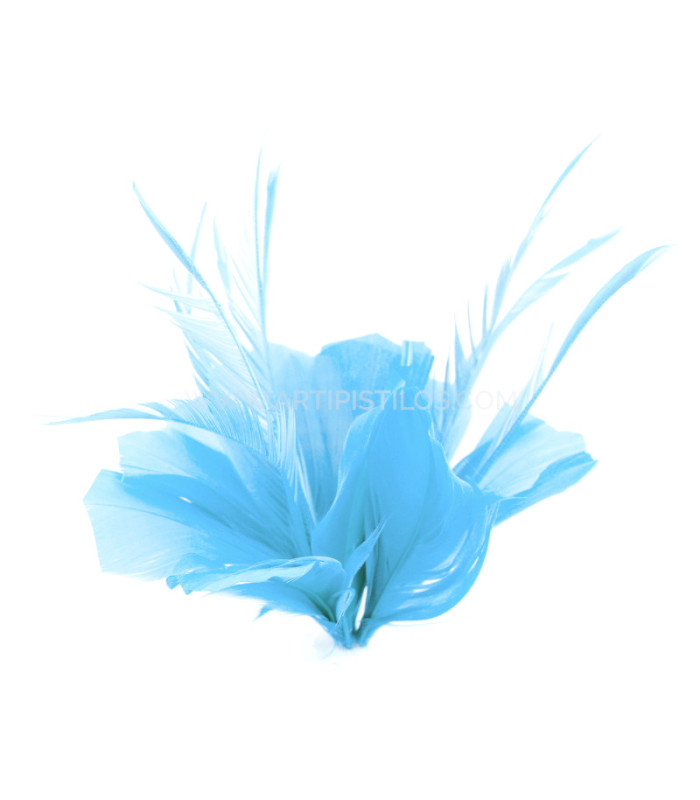 FEATHER MOUNT OF DUCK AND GOOSE BIOT