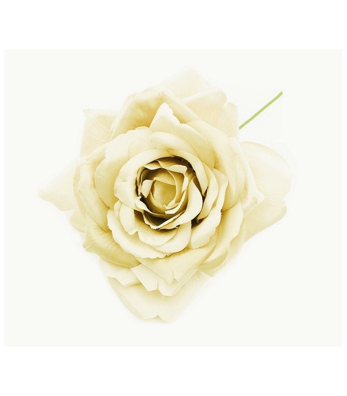FABRIC ROSE "TRIANA"